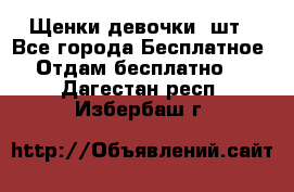 Щенки девочки 4шт - Все города Бесплатное » Отдам бесплатно   . Дагестан респ.,Избербаш г.